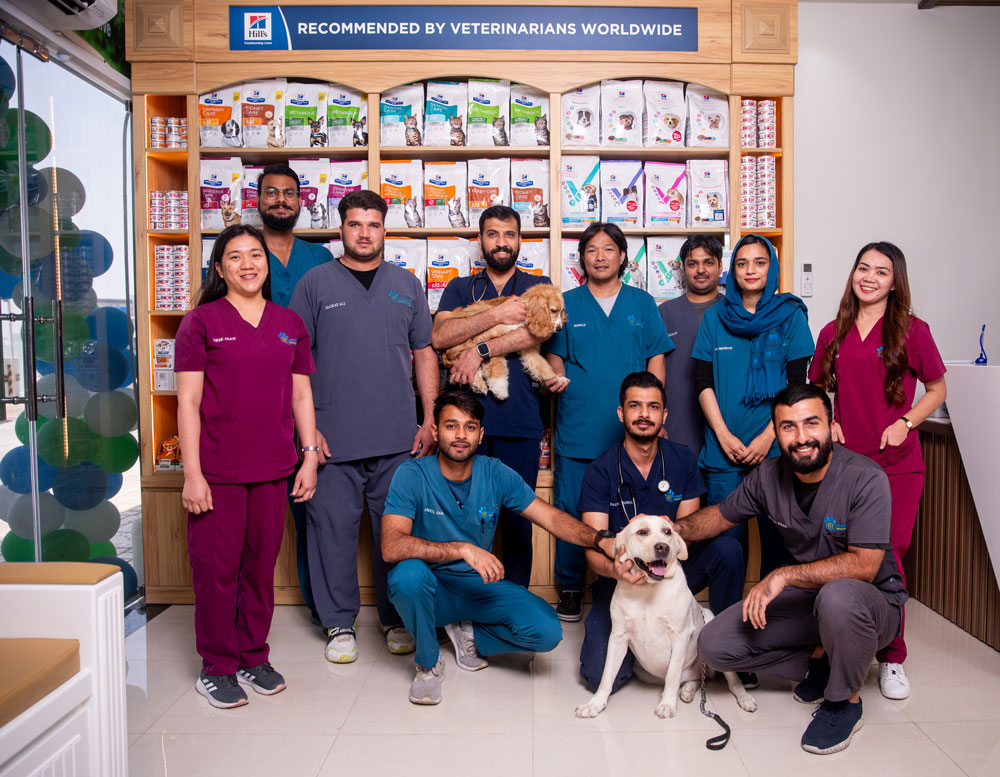pawsitive vet clinic team