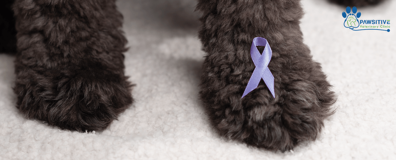 pet cancer prevention tips